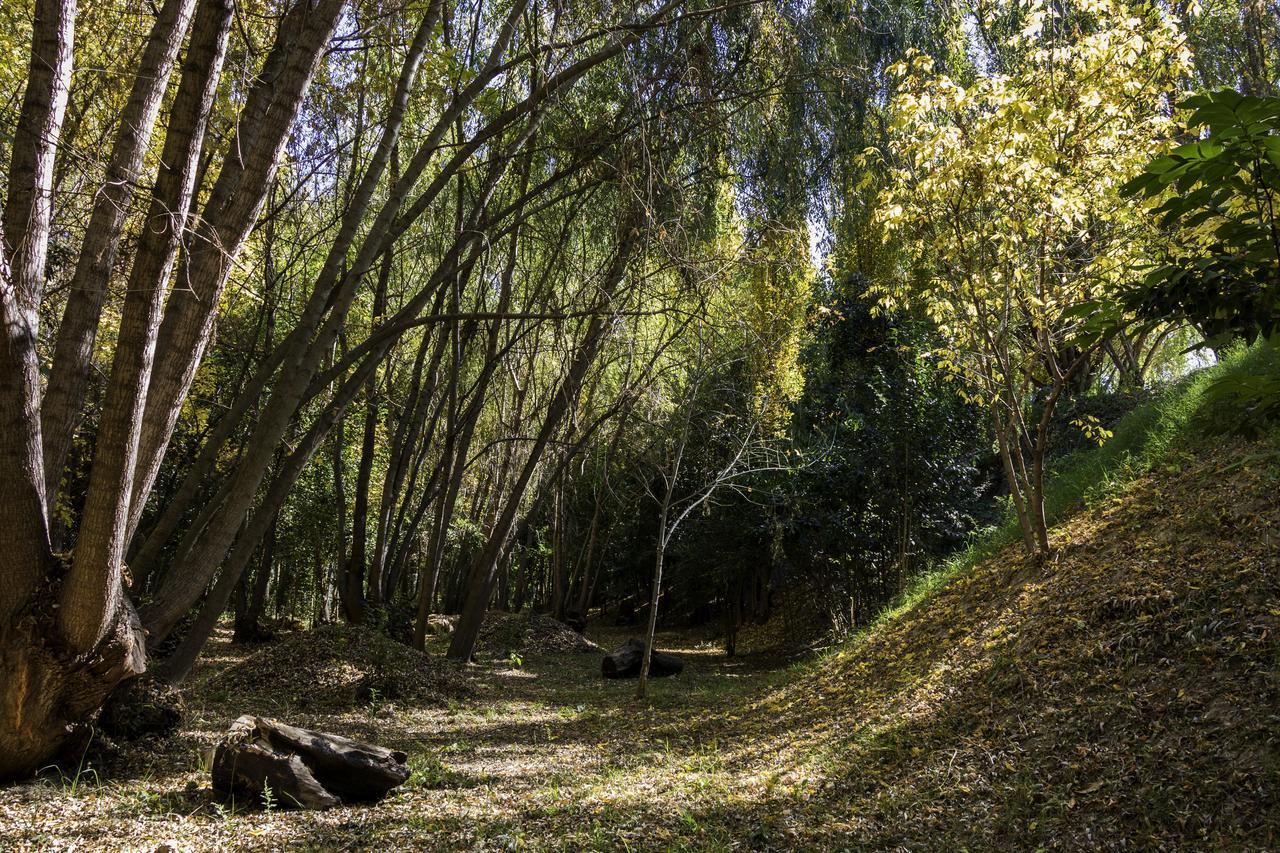 Cabanas El Remanso Tupungato Dış mekan fotoğraf